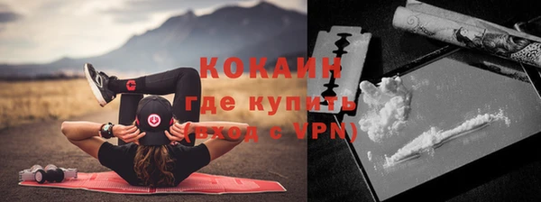 молекула духа Осинники