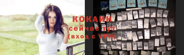 Альфа ПВП Няндома