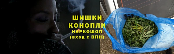 Альфа ПВП Няндома