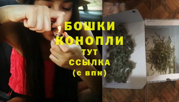 Альфа ПВП Няндома