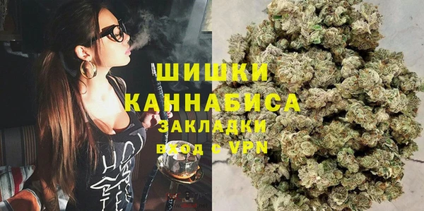 Альфа ПВП Няндома