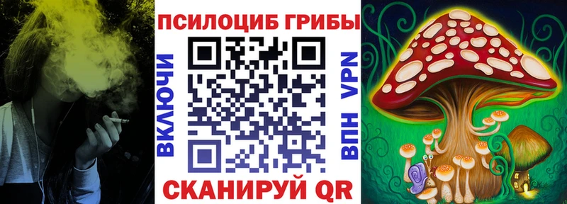 где можно купить   Опочка  Псилоцибиновые грибы Magic Shrooms 